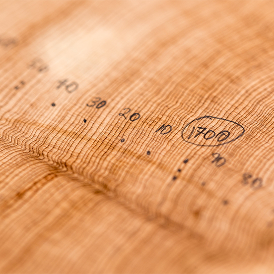 tree rings with reference years marked