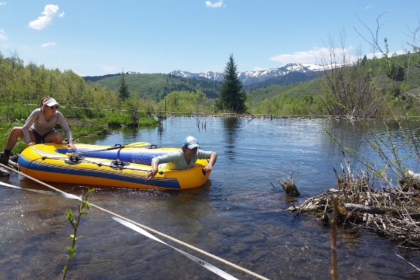 Beaver Ponds with More Sediments Store More Nitrogen, Simple Mapping Reveals