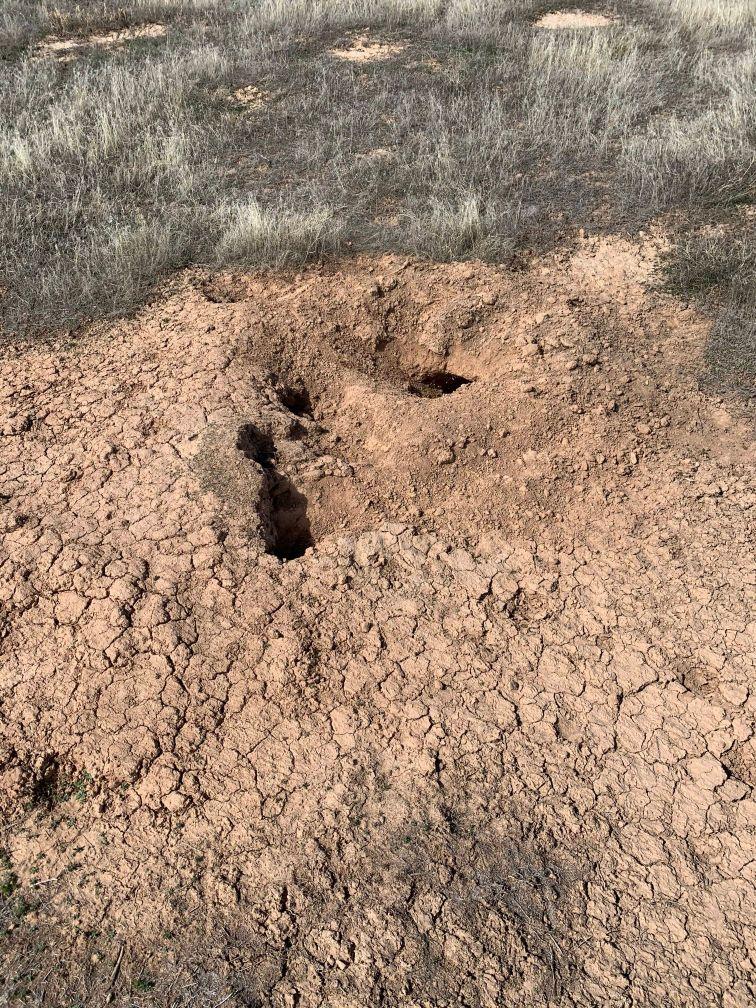 An opening to a White-Tailed Prairie Dog Burrow. 